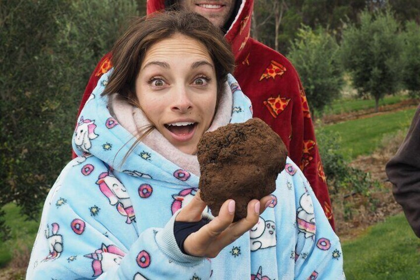 2-Hour Truffle Hunt and Taste Experience in Oberon, NSW Australia
