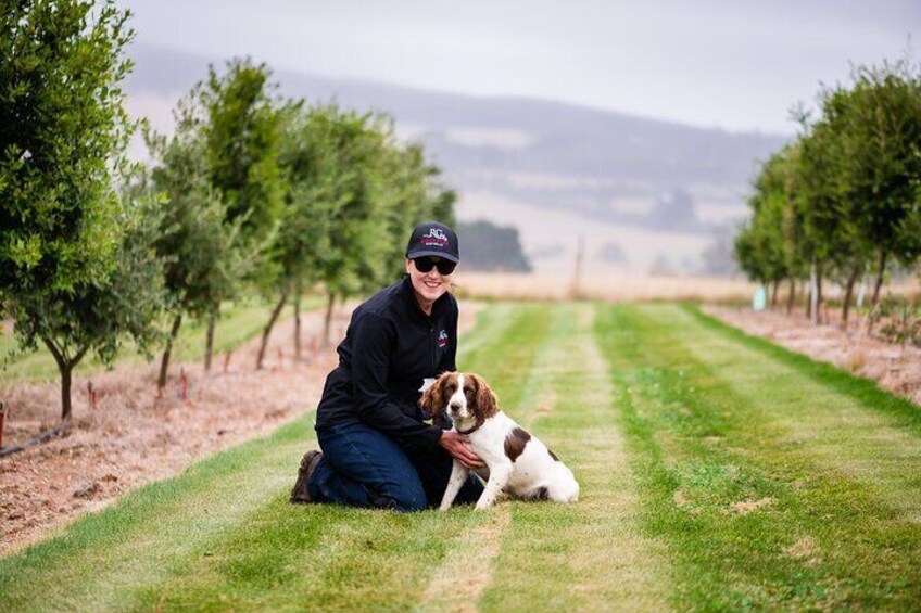 2-Hour Truffle Hunt and Taste Experience in Oberon, NSW Australia