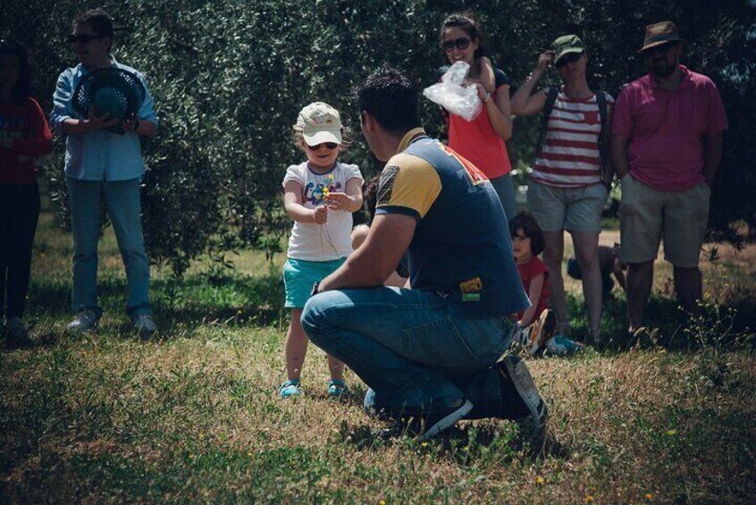 Ecological Olive Grove Tour with EVOO Tasting