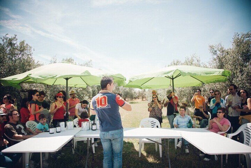 Ecological Olive Grove Tour with EVOO Tasting