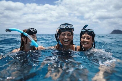 Dive Into Paradise: Snorkel Adventure at Paradise Cove