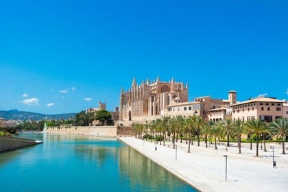6-Hour Palma City Cycle Tour and Rooftop Paella Workshop