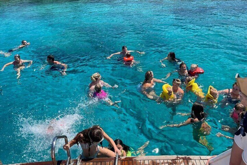 Still Swimming With The Mermaids