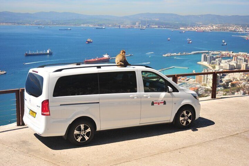 3-Hour Private Tour in Gibraltar Historical Tunnel 