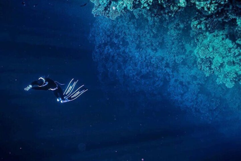 Freediving experience for beginners in Malta Island