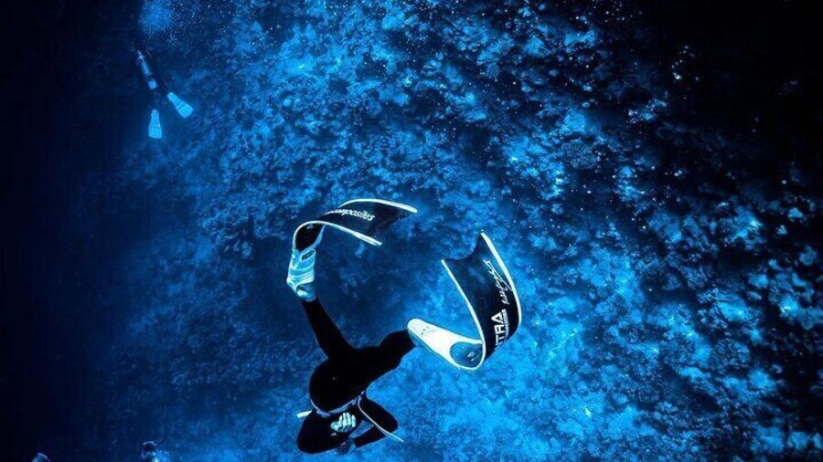 Freediving experience for beginners in Malta Island