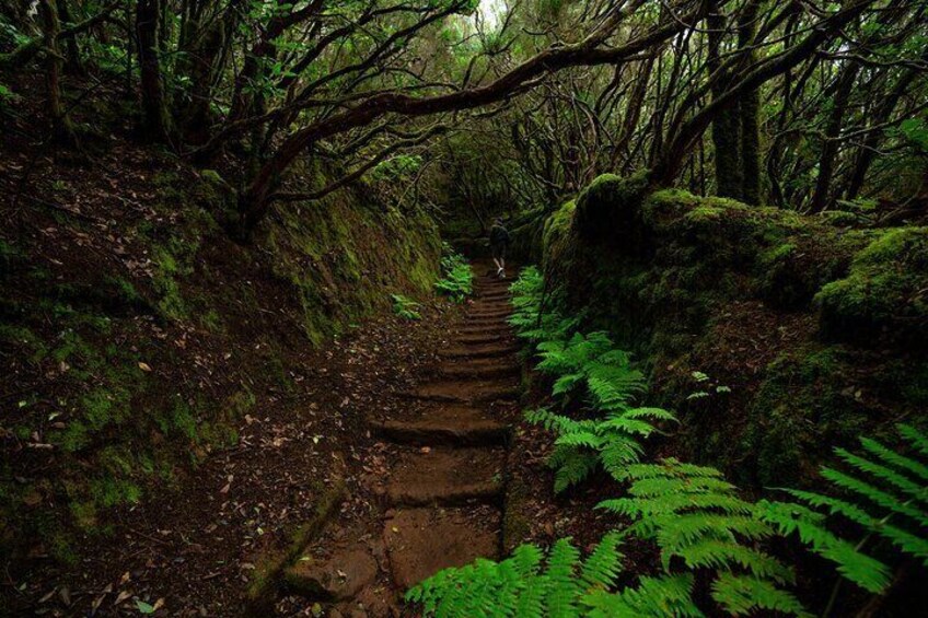 Wonder Walk Tenerife