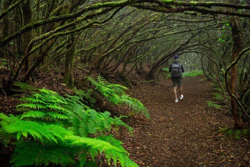 Wonder Walk Tenerife