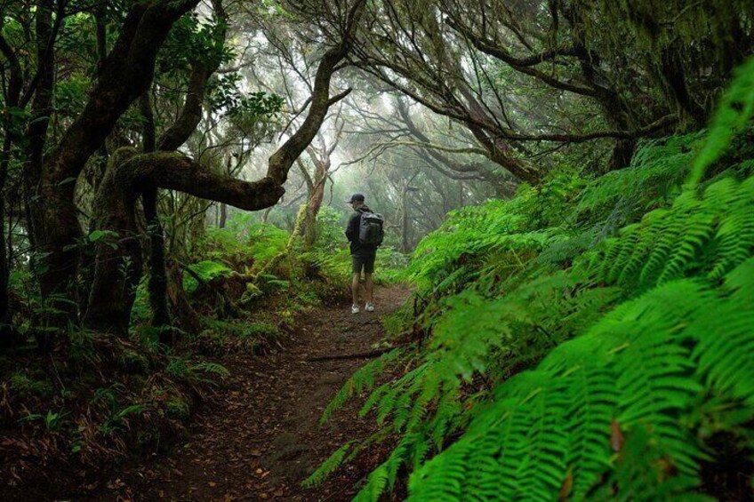 Wonder Walk Tenerife