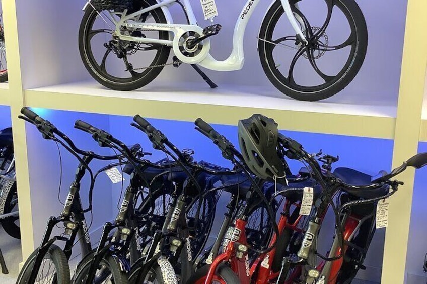 Electric Bikes Rental in Dunedin