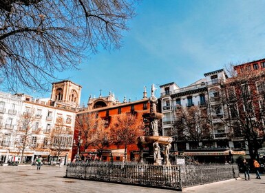 Visita el centro histórico y el barrio del Albaicín. Italiano