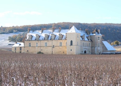 "Route des grands crus", private wine tasting in Burgundy !