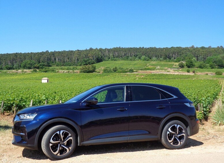 Picture 8 for Activity "Route des grands crus", private wine tasting in Burgundy !