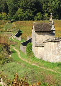 "Route des grands crus", private wine tasting in Burgundy !