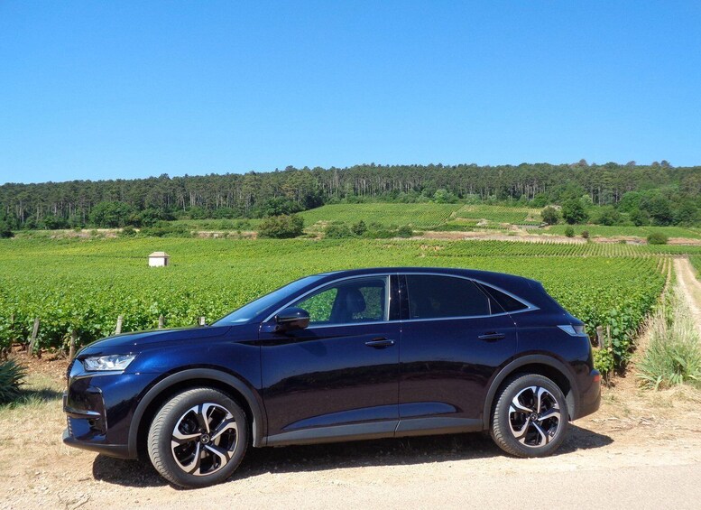 Picture 8 for Activity "Route des grands crus", private wine tasting in Burgundy !