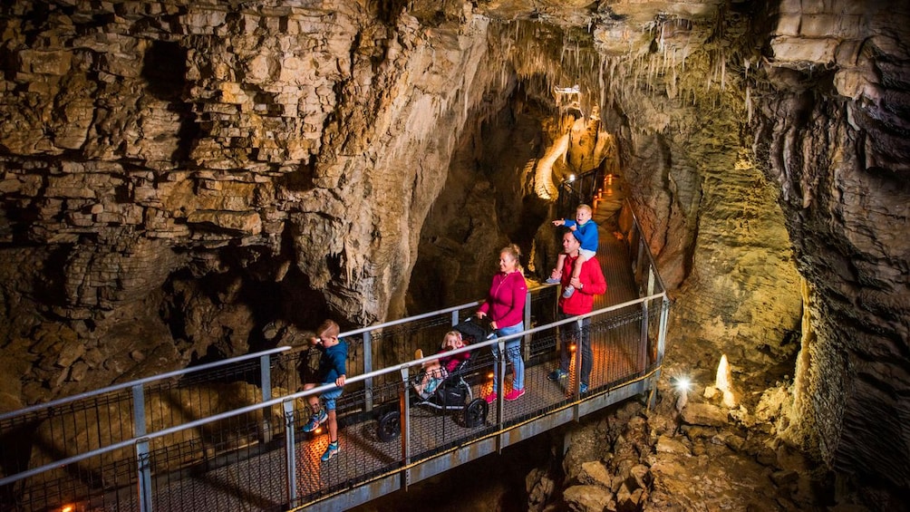 Show item 4 of 10. Waitomo Glowworm Cave Tour in Rotorua