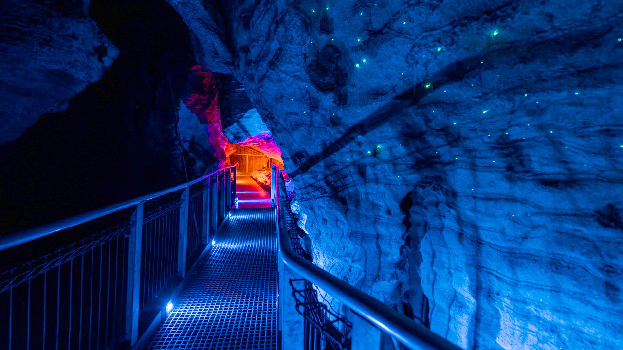 Waitomo Glowworm Caves Boat Tour