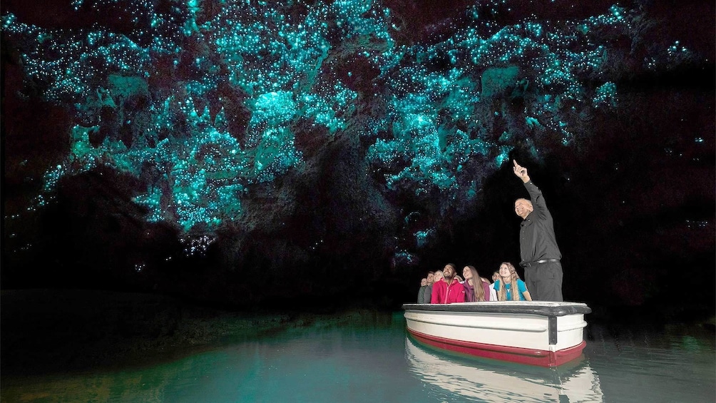 Show item 3 of 10. Group and guide on the Waitomo Glowworm Cave Tour in Rotorua