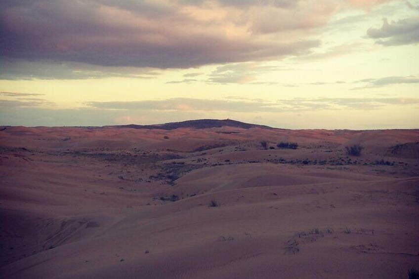 Kubuqi desert