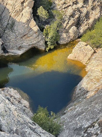 Picture 5 for Activity San Teodoro: Rio Pitrisconi and Pala di Monti Quad Tour
