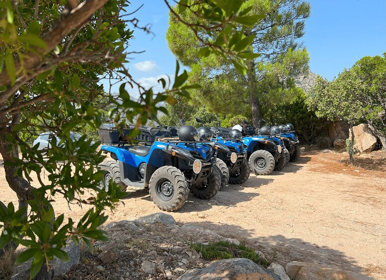 Picture 11 for Activity San Teodoro: Rio Pitrisconi and Pala di Monti Quad Tour