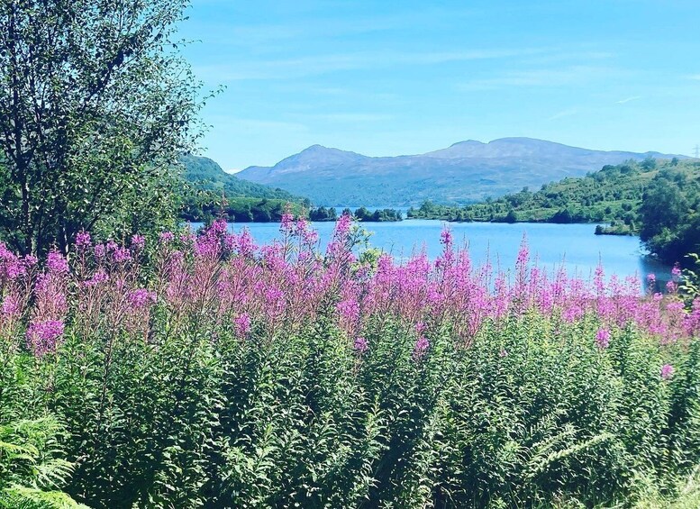 Picture 8 for Activity Loch Katrine Ebike Tour