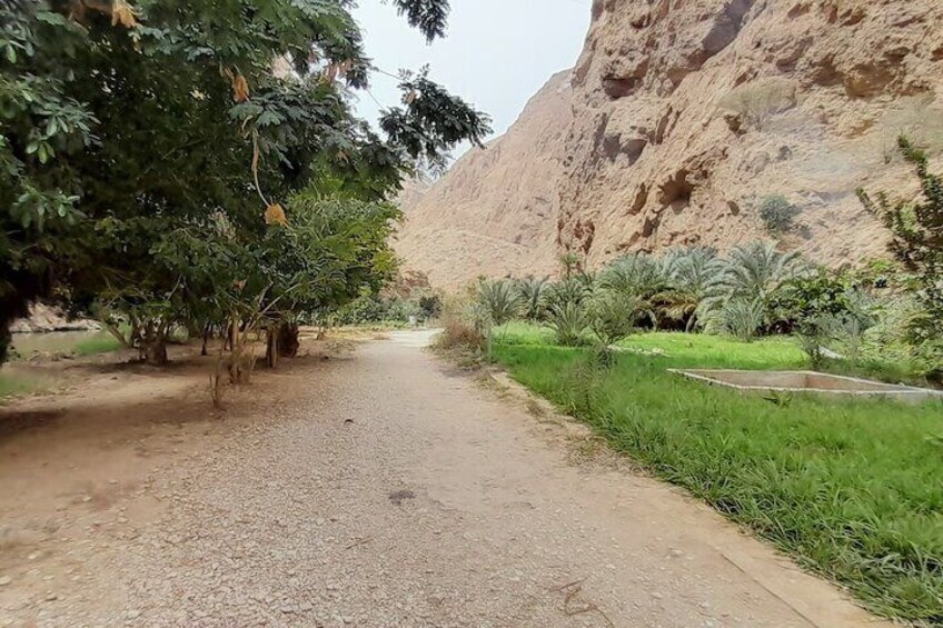 Private Desert Guided Overnight Camp Tour
