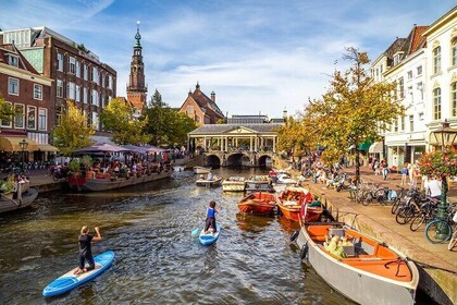 Private transfer from Amsterdam to Rotterdam, 2h Stop in Leiden