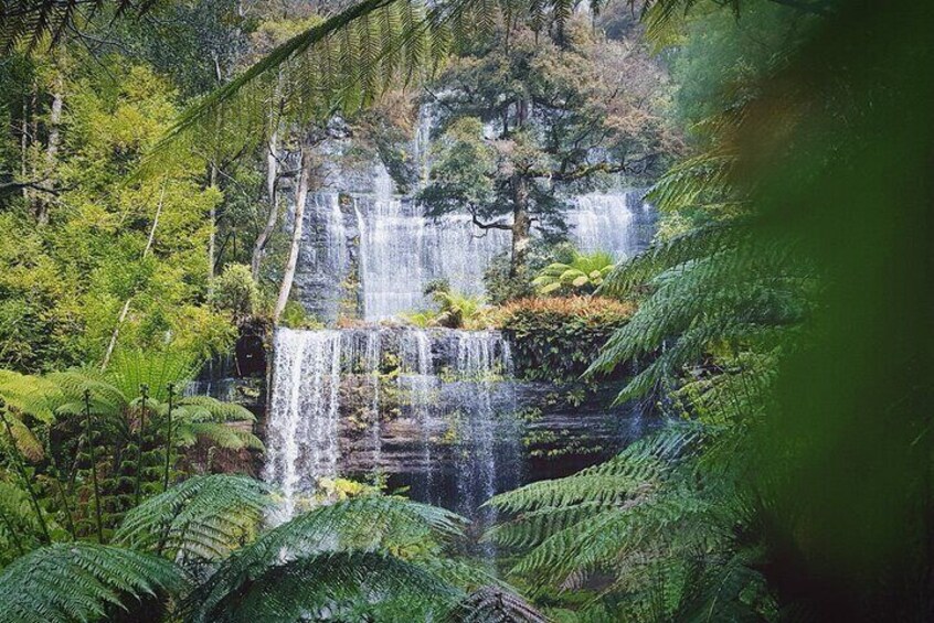 Russell Falls, Mt Field National Park