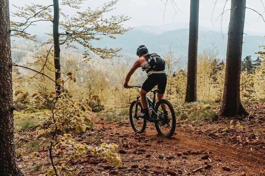 Prague E-Mountain Biking Adventure In The Bohemian Paradise