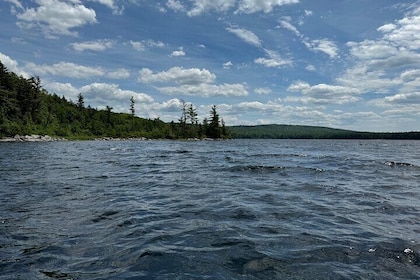 Lake Tarleton Self-Guided Paddle