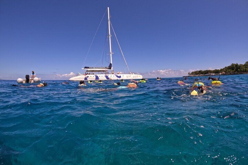 Sailing Catamaran Excursion