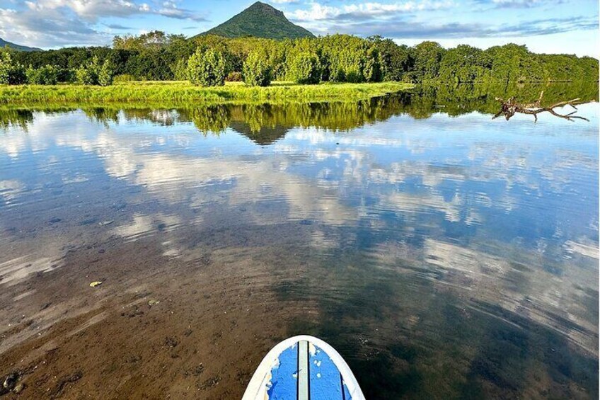 Mauritius: Guided Stand Up Paddle on Tamarin River