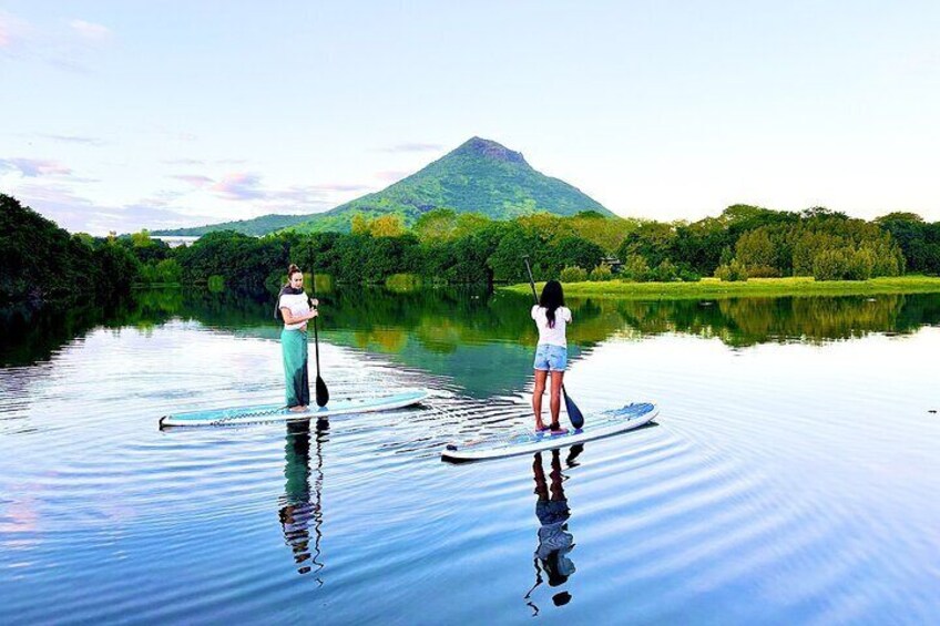Mauritius: Guided Stand Up Paddle on Tamarin River