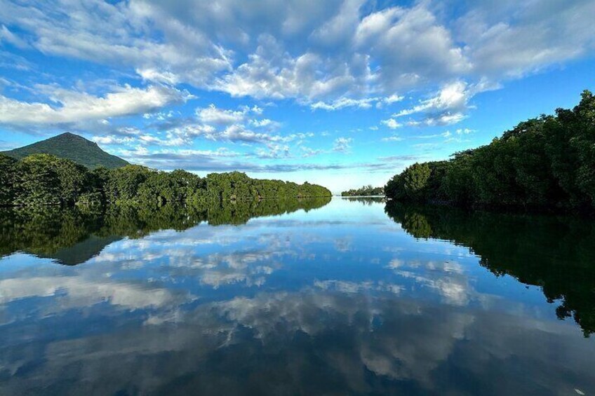 Mauritius: Guided Stand Up Paddle on Tamarin River