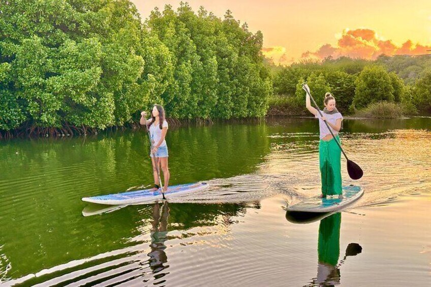 Mauritius: Guided Stand Up Paddle on Tamarin River