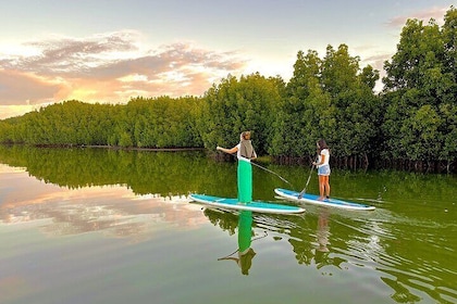 Mauritius: Guided Stand Up Paddle on Tamarin River