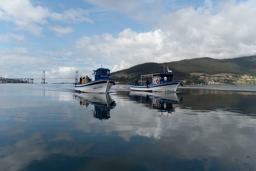 Picture 4 for Activity Discovering Vigo ria and mussels in the traditional boat