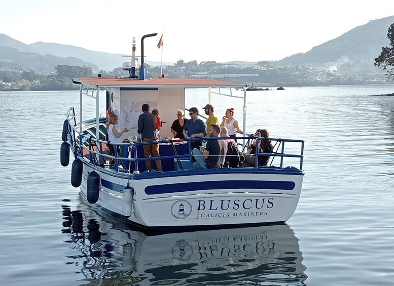 Picture 2 for Activity Discovering Vigo ria and mussels in the traditional boat