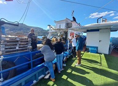 Discovering Vigo ria and mussels in the traditional boat