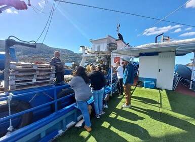 Discovering Vigo ria and mussels in the traditional boat