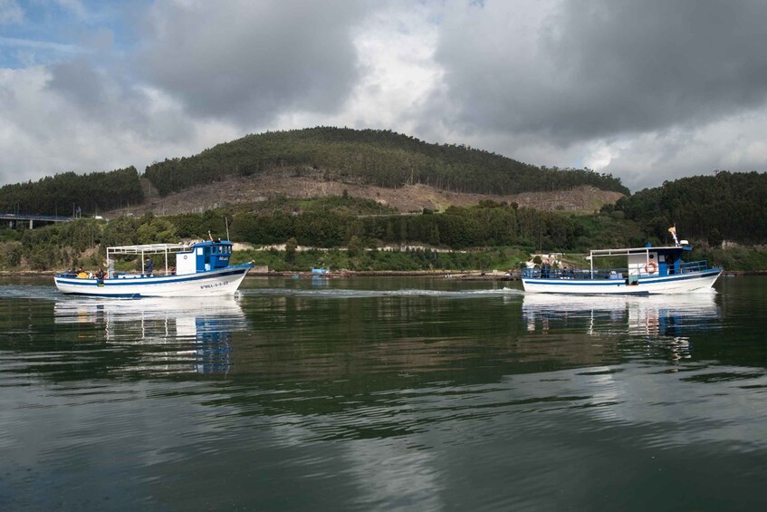 Picture 5 for Activity Discovering Vigo ria and mussels in the traditional boat