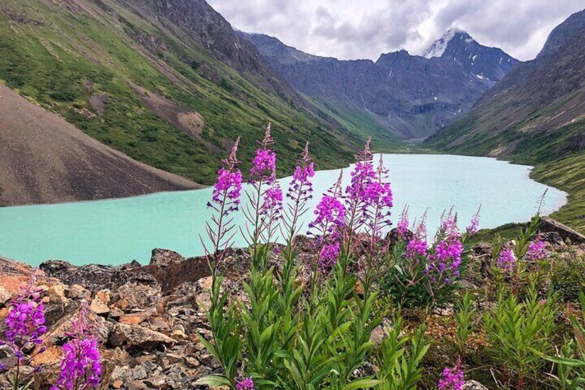Private Tour: Chugach State Park Hiking Tour from Anchorage