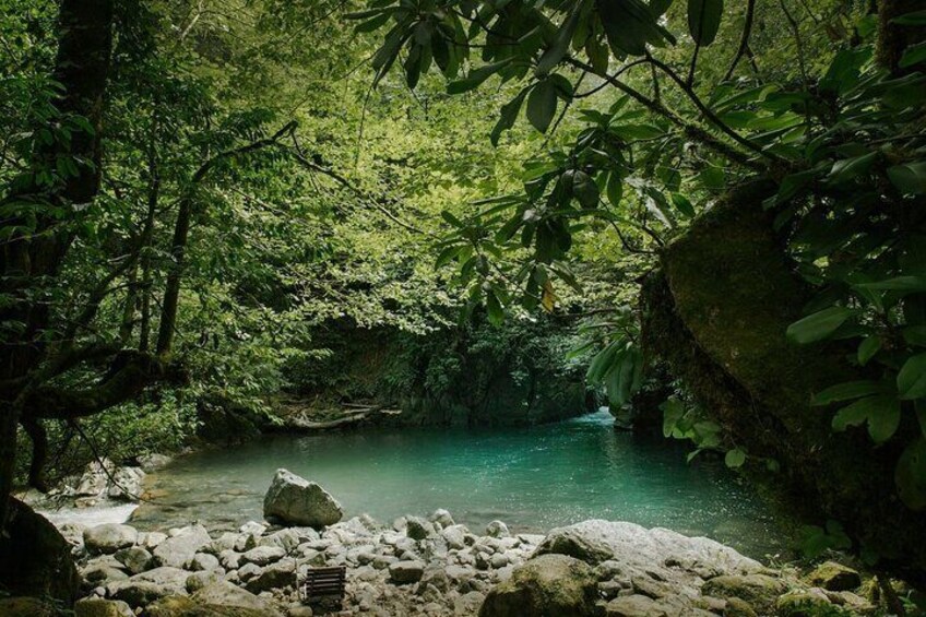 Group Hiking Tour in Mtirala National Park