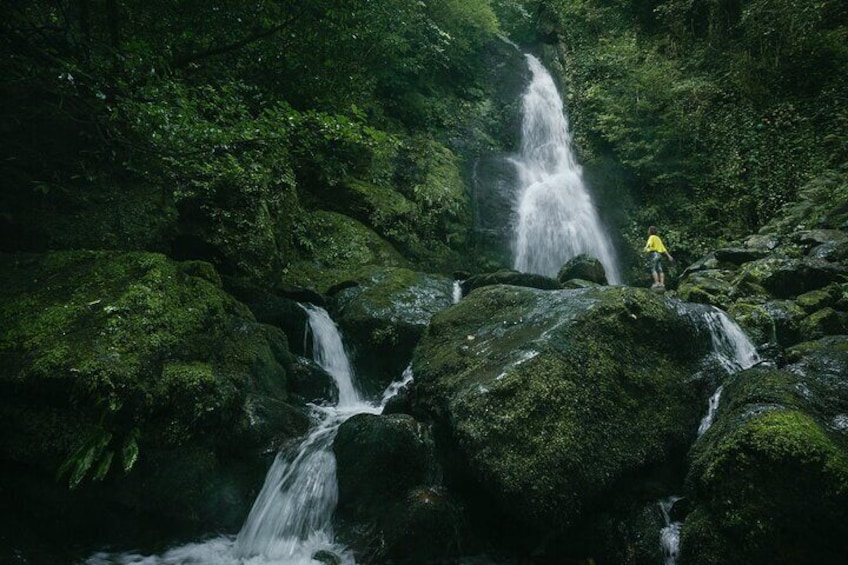 Group Hiking Tour in Mtirala National Park 