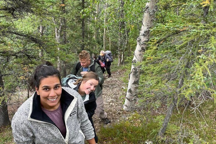 5-Hour Hiking Tour in Denali National Park