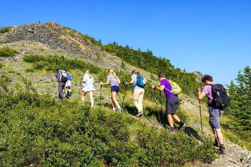5-Hour Mountain Hiking Tour in the Alaska Range - Denali Area