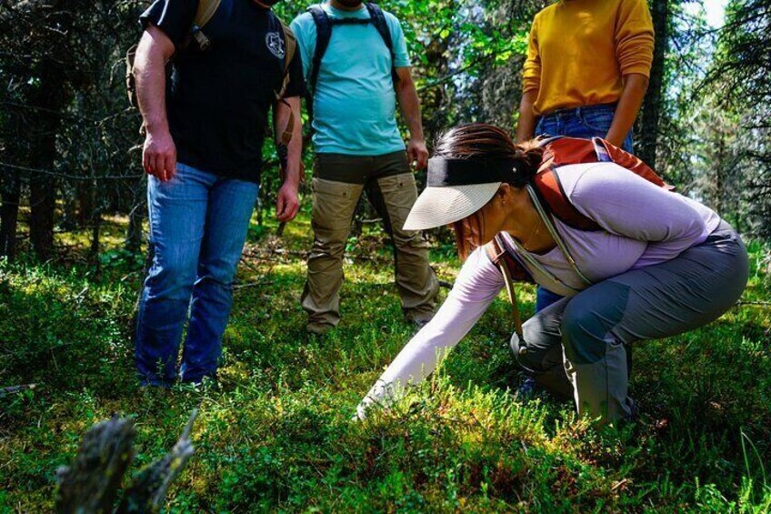 Feeling the cold of the permafrost beneath the peat moss!