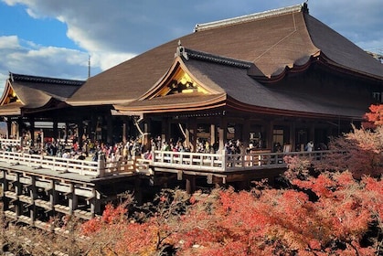 Private Guided Historical Sightseeing Tour in Kyoto