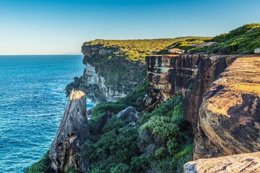 Private Day Trip to Royal National Park